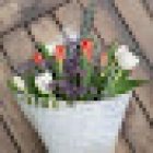 Florería y Cafetería Encactus Viña del Mar