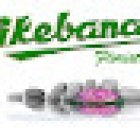 Ikebana Florist Valladolid