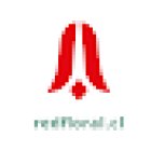 Red Floral SpA