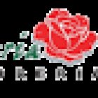 Florería Bouqueteria Raihuen