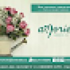 Amorío flores y más