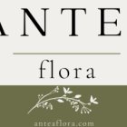 Antea Flora | Mejor Floristería de Valencia