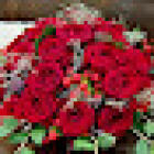 Floral Curiosities - Artisan Florist