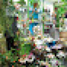 Abélia Florist Lorient