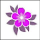 Floristería en Gijón | Arte Floral Volvoreta