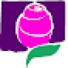 Floristería Guillermo Guillén