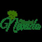 NEVADO FLORISTERÍA MADRID