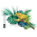 Les fleuristes Nice | Fleuriste Nice