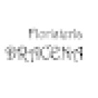 Floristería Drácena