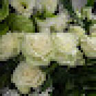 Secrets de Fleurs