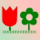 Todo Jardín Floristas