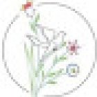 FLORISTERÍA AVI-FLOR Bilbao