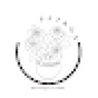 Patrón Boutique Floral