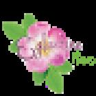 EGLANTINE FLEURS