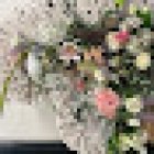 Floristería Natalia Crespo