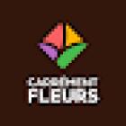 Carrément Fleurs - Fleuriste Montauban Albasud 82 - Livraison de fleurs à