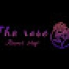 The Rose Flower Shop In Marbella