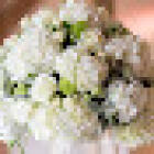 The Flower Company
