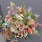 Rose & Ammi Flowers