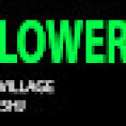 The Flower Pot