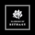 Flowers By Bethany Ltd