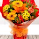 Nicki's Florist Ltd