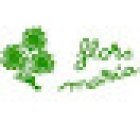 Flors María La Eliana