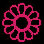 Floral Roundabout
