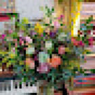 Floriography by Vera Fallacy