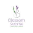 Blossom Surprise Ltd