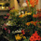 Pavilion Flowers