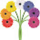Willis Flowers