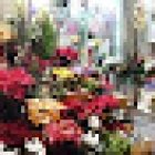 Floristeria Racó Verd