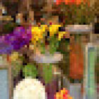 Leeds House of Flowers