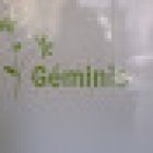 Floristería Géminis