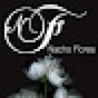 Floristeria Nacho Flores