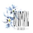 Blumen bei Beller