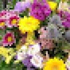 Floristería Garralda