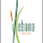 Floristería Ikebana