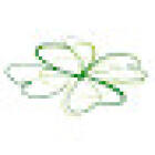 Blumenhaus Kleeblatt