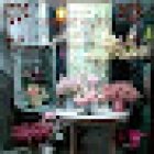 Zarabanda Floristería