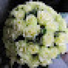 Blumen Polcher