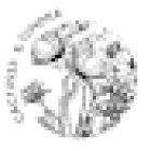 Cactusss&Tundra, Floristeria