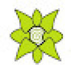 FLORENIA e. K.