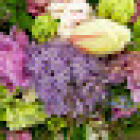 Flowers at the East Park