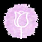 La Vida en Rosa Floristeria