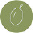 Verde Oliva - officina floreale