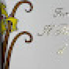 Il Bouquet d'Oro S.r.l. - Fioreria Creativa