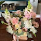 Il Fiore Di Maynard Maria Veronica
