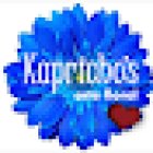 Kapricho'S Arte Floral